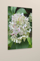 Beauty in the uncommon