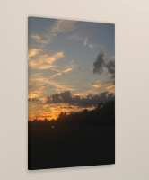 shadows in the light